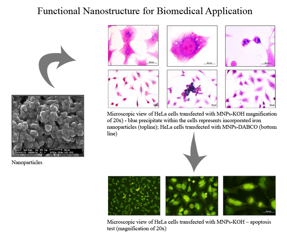 Functional Nanostructure for Biomedical Application